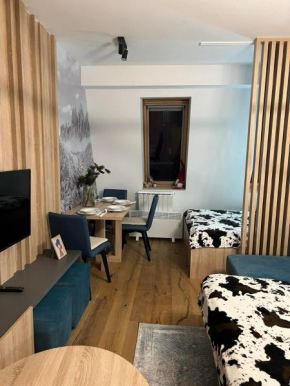 Apartmani VinVucko Jahorina u sklopu aparthotela Vucko privatni apartmani